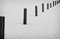 Fence-in-Snow